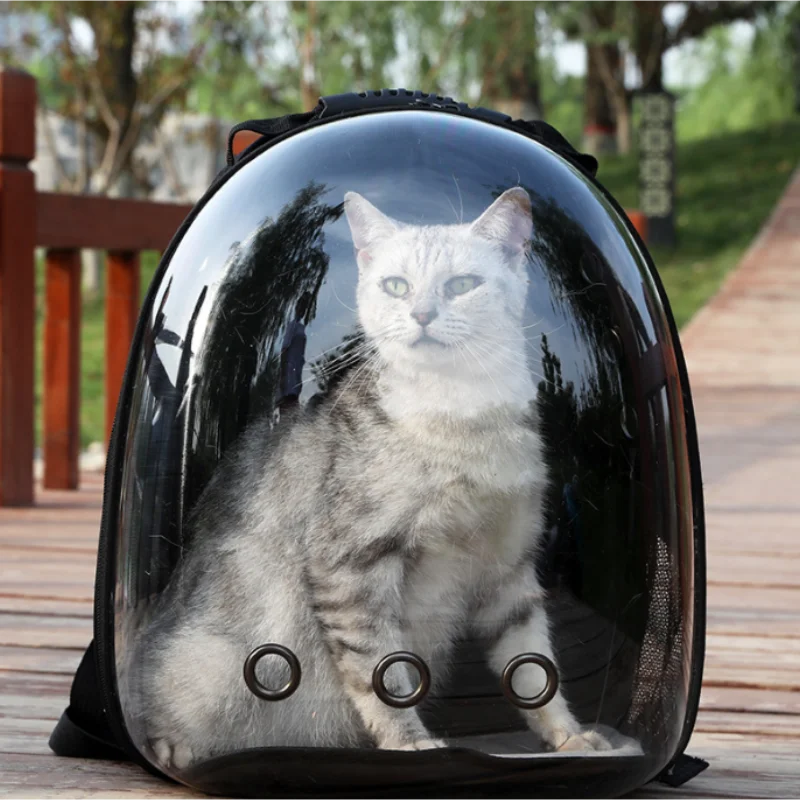 Portable Transparent Pet Backpack Carrier – Breathable Space Capsule Design